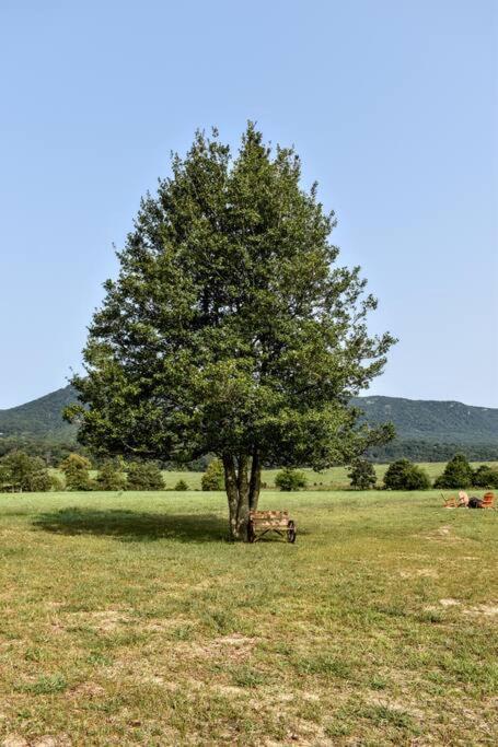 Villa Holly Tree Retreat Located In Beautiful Luray, Va. Exterior foto